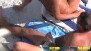Como plantar pragas na colheita feliz